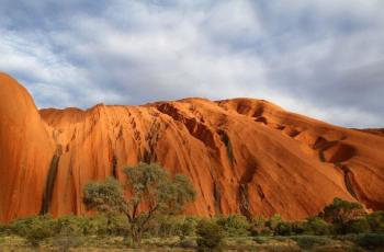 Cuma Lima Bulan Setahun, Gini Pesona Air Terjun Musiman di Uluru Australia