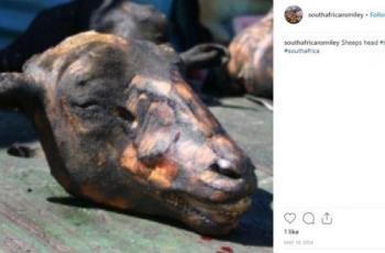 (Instagram Southafricansmiley)
