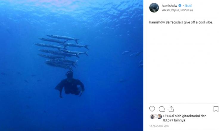 Momen Hamish Daud jelajahi laut Indonesia. (Instagram/@hamishdw)