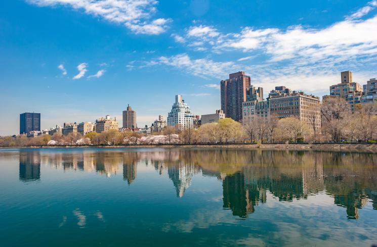 New York, Kota Paling Romantis di Dunia (Pexels/Jerome Dominici)