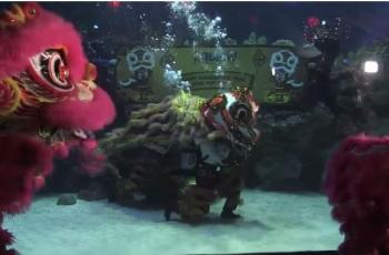 Pertunjukan Barongsai Bawah Air (youtube.com/AFP news agency)