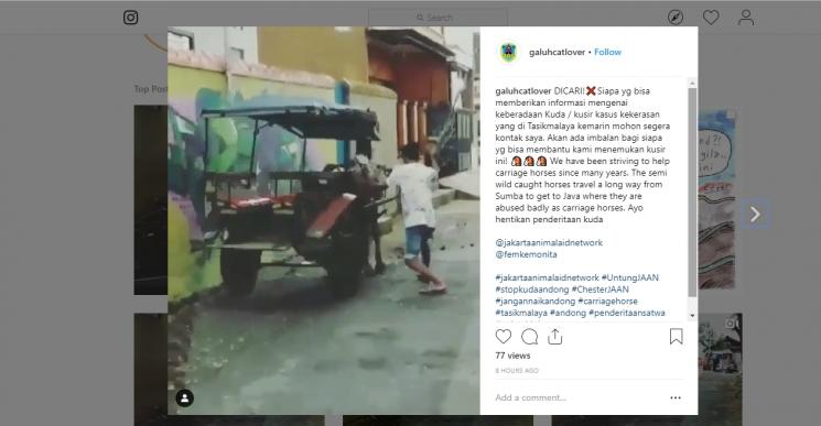 Video Kuda Disiksa di Tasikmalaya Viral. (instagram.com/galuhcatlover)