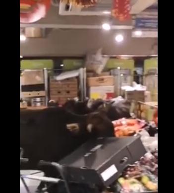 Kocak, Sedang Ramai Pembeli Supermarket Ini Mendadak Diserbu Sapi Liar. (Facebook/Eric Man Kit Lee)