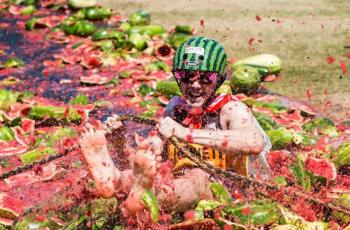 (Chinchilla Melon Festival Official)