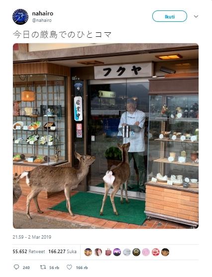 Rusa halangi pintu masuk restoran. (Twitter/@nahairo)