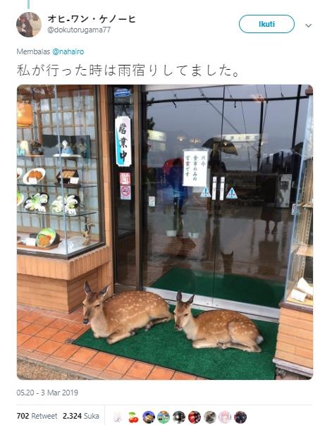 Rusa halangi pintu masuk restoran. (Twitter/@dokutorugama77)