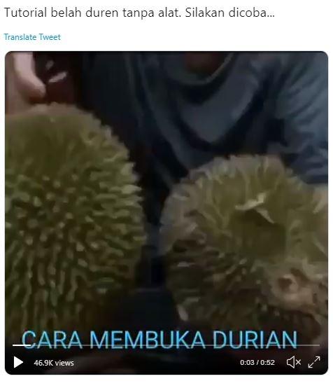 Tutorial Belah Durian Tanpa Alat yang Bikin Ngilu (twitter.com/jayakabajay)