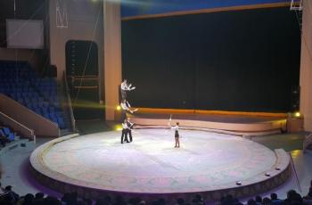 Pyongyang Circus, Korea Utara (Google Maps)