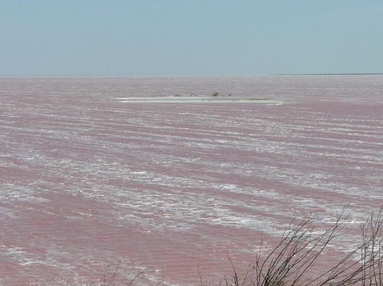 Laguna Sivash di Ukrania (Wikimedia Commons)