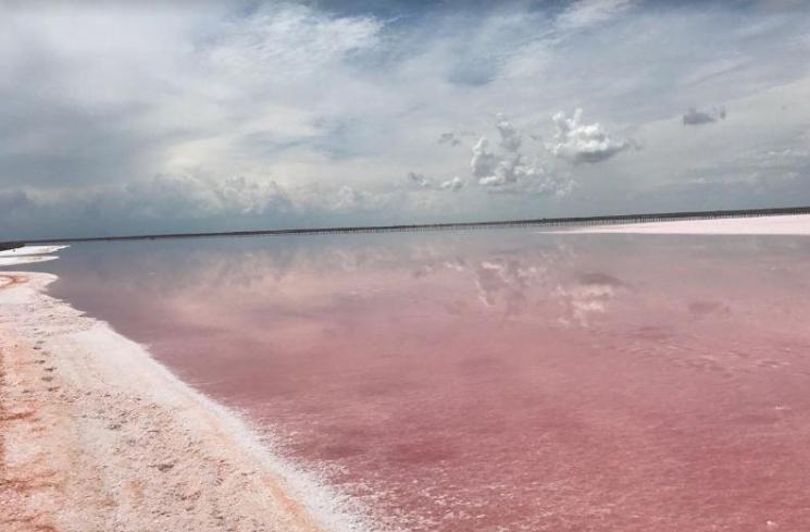 Laguna Sivash di Ukrania (Google Maps)