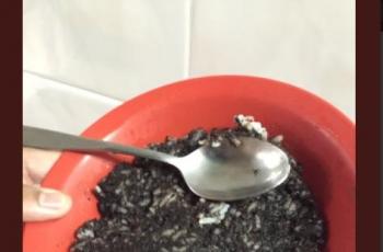 Nasi goreng oreo kreasi netizen. (Twitter/brgsjks)