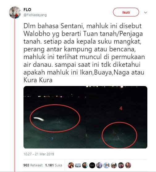 Penampakan makhluk Walobho di Danau Sentani sebelum bencana banjir. (Twitter/FloNadayang)