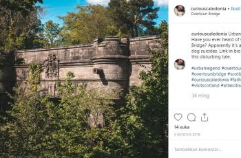 Banyak Anjing Bunuh Diri, Begini Kisah Misteri Jembatan Overtoun. (Instagram/@curiouscaledonia)
