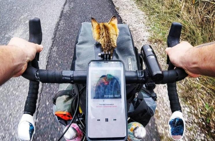 Keliling Dunia Dengan Sepeda, Pria Ini Temukan Teman Traveling Kucing (instagram.com/1bike1world)