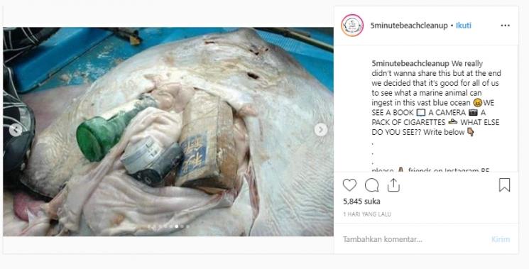 Ikan pari ditemukan mati akibat telan sampah. (Instagram/@5minutebeachcleanup)