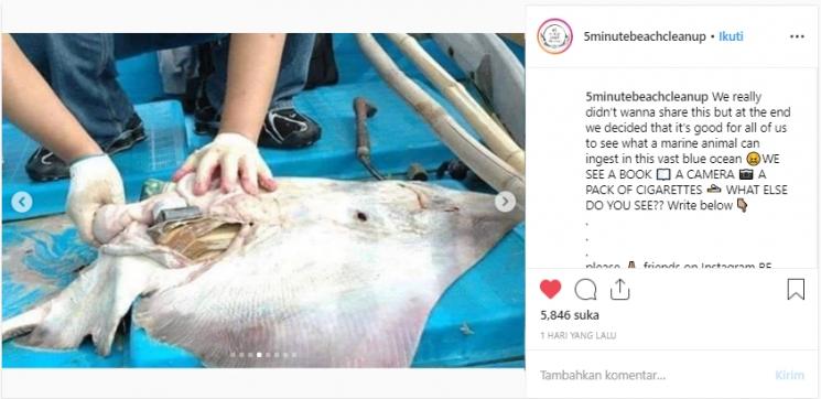 Ikan pari ditemukan mati akibat telan sampah. (Instagram/@5minutebeachcleanup)