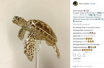 (Instagram Shinri Tezuka)