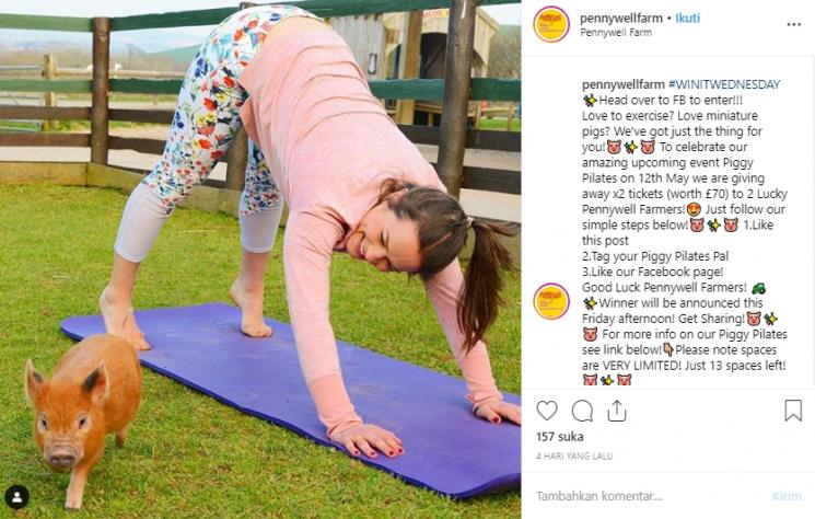 Peternakan di Inggris ini tawarkan kelas pilates bersama babi. (Instagram/@pennywellfarm)