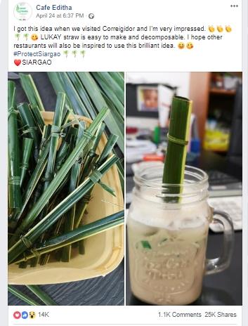 Sedotan dari daun kelapa. (Facebook/ Cafe Editha)