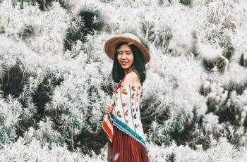 Bak di Bukit Salju, Eloknya Hamparan Padang Bunga Kasna di Karangasem Bali
