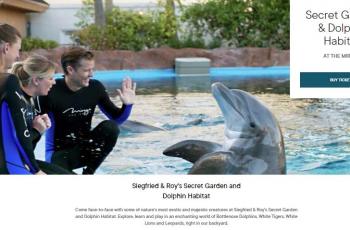 Hotel di Las Vegas tawarkan yoga bersama lumba-lumba. (www.mirage.mgmresorts.com)