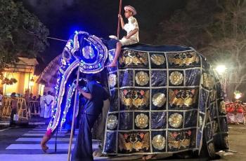 Viral Potret Gajah Kurus Kering, Dipaksa Pakai Kostum dan Ikut Festival