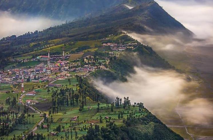 Potret Negeri di Atas Awan, Cemoro Lawang