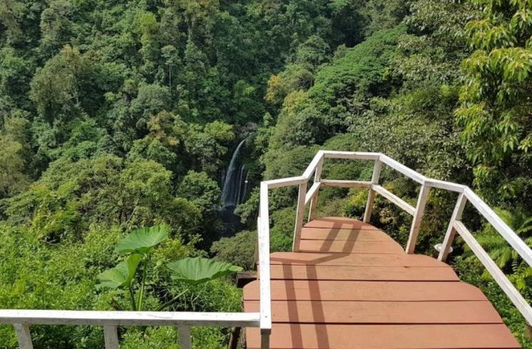 Kebun Kopi Senaru (Google Maps)