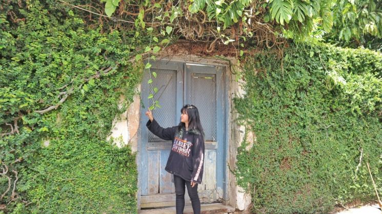 Spot Instagramable Tembok Ijo di Kotagede. (Guideku/Arendya)