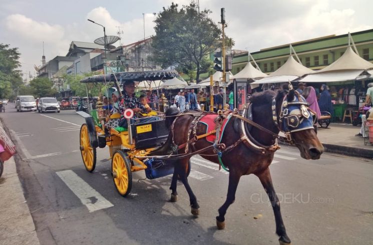 Delman di Malioboro. (Guideku/Arendya)