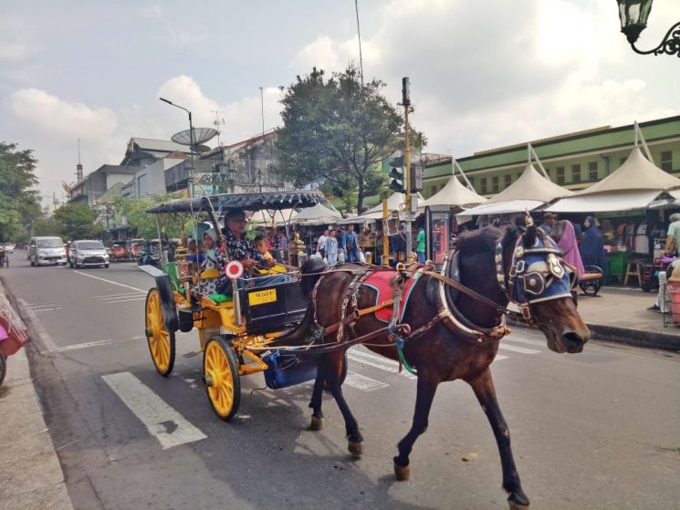 Delman di Malioboro. (Guideku/Arendya)