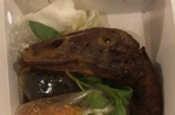 Bikin Ngakak Warganet, Bebek Goreng Ini Bagian Kepalanya Mirip Dinosaurus