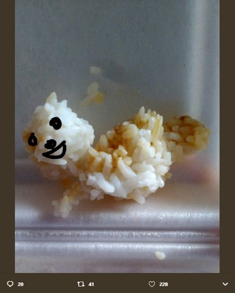 Nasi Goreng Bentuk Kucing. (twitter.com/haiumeluncur)