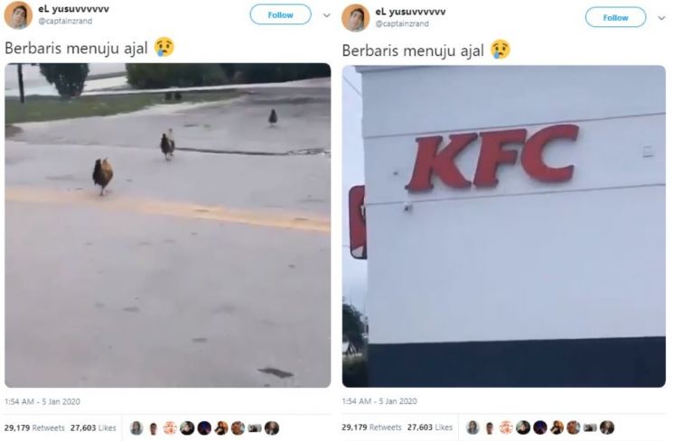 Viral ayam berbaris menuju KFC (twitter.com/captainzrand)