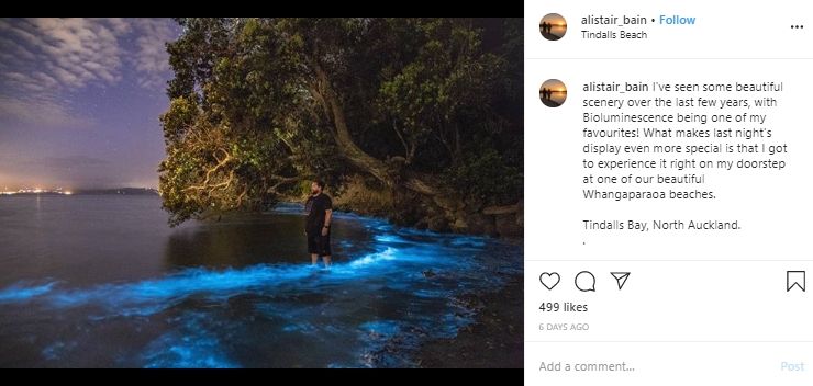 Bioluminescence di Tindalls Bay. (instagram.com/Alistair_Bain)