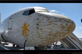 Pesawat Ethiopian Airlines Diserang Belalang (facebook.com/Aeronews)