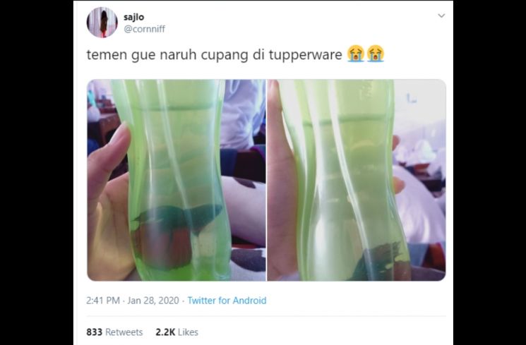 Ikan cupang dalam botol plastik. (Twitter/@cornniff)