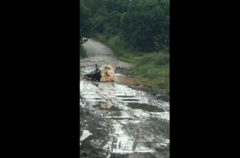 Video Perjuangan Penjual Kerupuk. (twitter.com/ardfhaf)