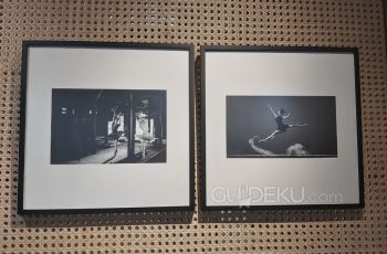 Pameran Fotografi Ragamanungsa di ARTOTEL Jogja (Guideku.com/Amertiya)