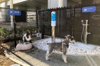 Toilet Khusus Anjing di Osaka International Airport (Kansai Airport)