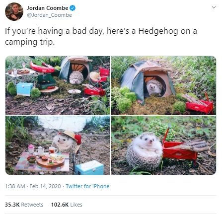 Gemasnya Hamster Kemping. (twitter.com//Jordan_Coombe)