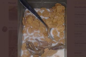 Deretan Penistaan Makanan ala Netizen (twitter.com/cibellace)