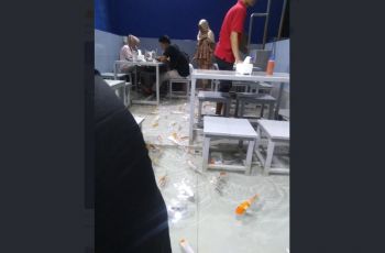 Makan Sambil Berendam Bareng Ikan, Netizen Was-Was Bikin Masuk Angin