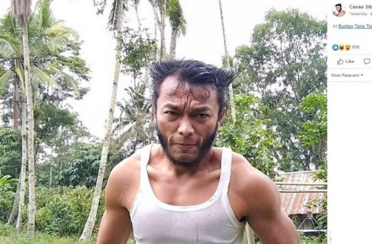 Wolverine versi lokal saat berkebun. (Facebook/ Causa Sibala)