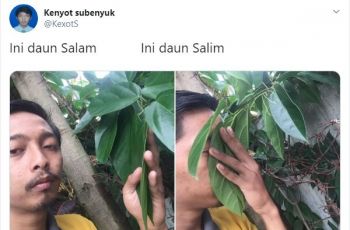 Pelesetan Daun Salam (twitter.com/KexotS)