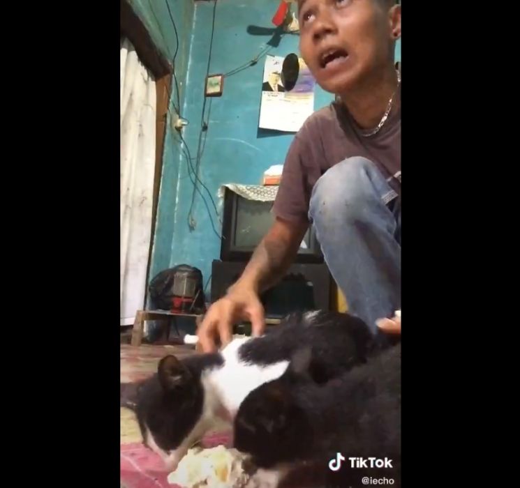 Kucing Ikut Ngemil Durian. (twitter.com/majelismeyong)