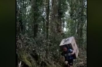 Demi Murid, Guru Ini Rela Gendong Kulkas dan Jelajah Hutan Selama 8 Jam