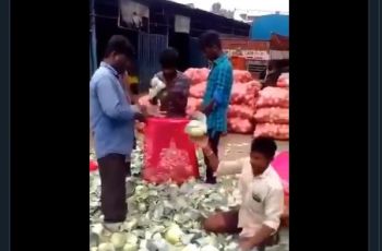 Bak Gergaji Mesin, Aksi Pria Belah Kubis Jadi 2 Ini Bikin Netizen Melongo