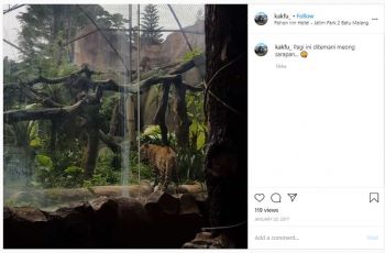 Pohon Inn Hotel, Batu, Malang (instagram.com/kakfu_)