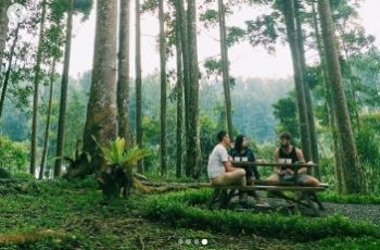 Dijamin Bikin Betah, Restoran Ini Tawarkan Sensasi Kulineran di Hutan Pinus